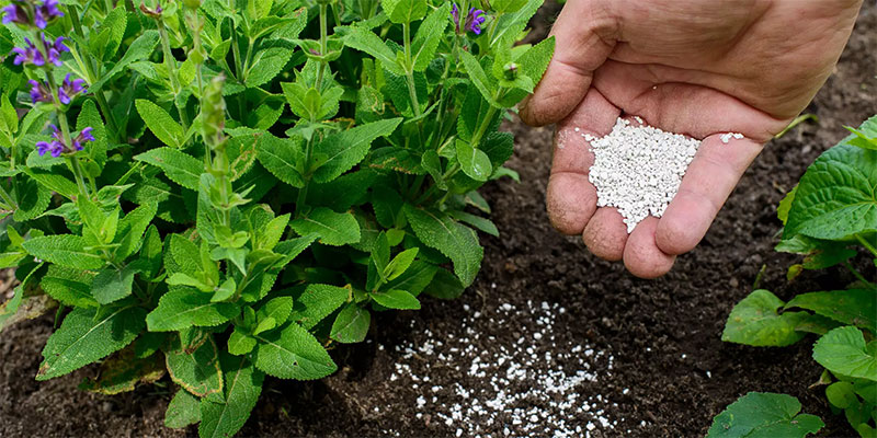 spread fertilizer by hand